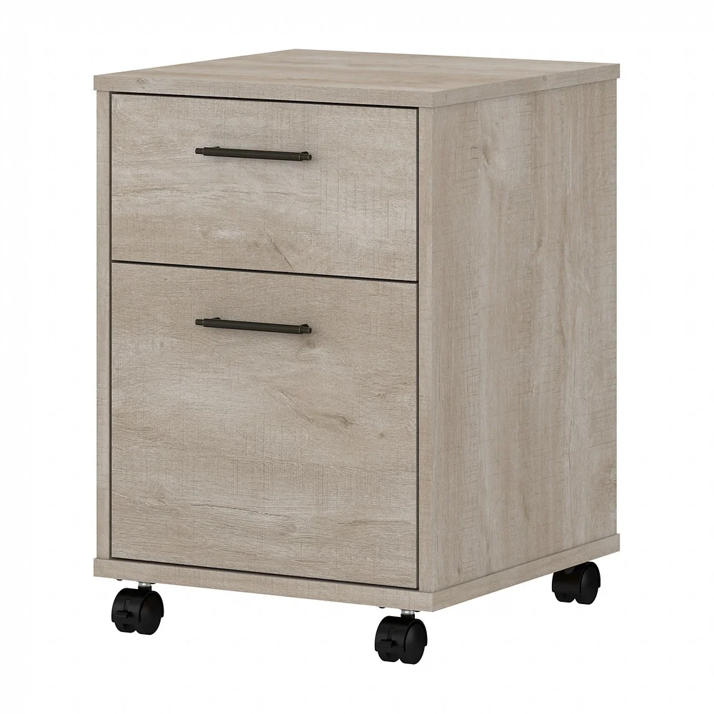 Mobile File Cabinet 2 Drawer Rolling Storage Organizer with Locking Casters Smooth Ball-Bearing Slides Office Home Use