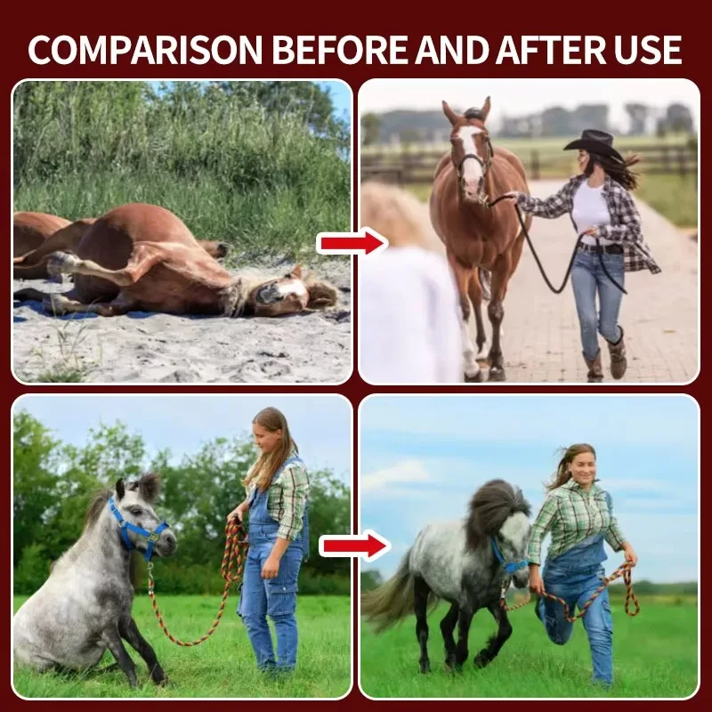 Equine Therapy Device Horses Red Light Therapy Blanket for Horse Body