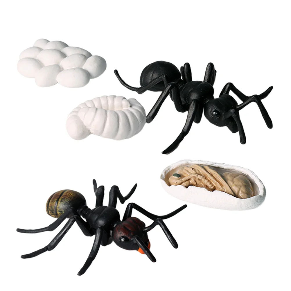 5 PCS Artificial Ant Remote Control Spider Insect Decor Kids Toy Model Child Toys