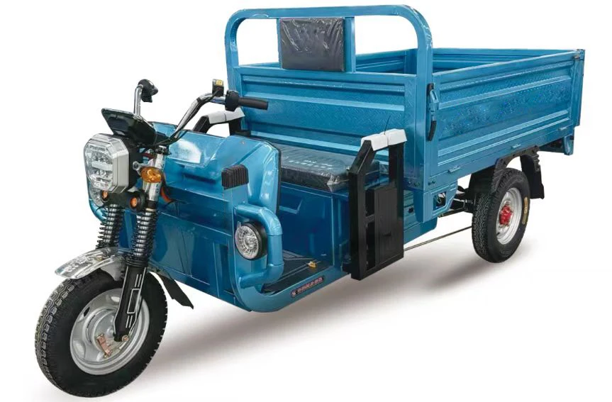 New 1000W 3-Wheel Electric Cargo Tricycle 60V Voltage 400kg Payload Capacity Closed Steel Body for Adults