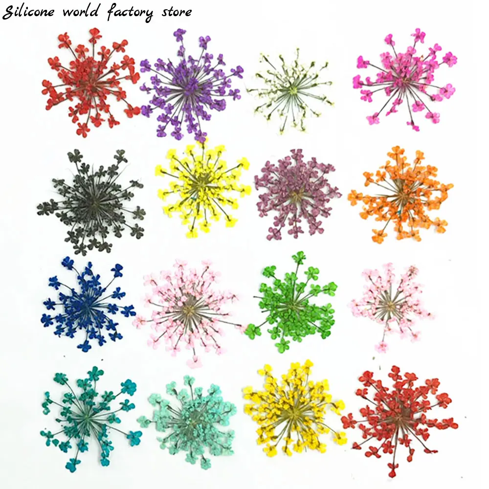 Silicone world 12PCS Dry Flowers For Resin Filling Real Dried Flower Dry Plant For Resin Filler DIY Pendant Jewelry Making Craft