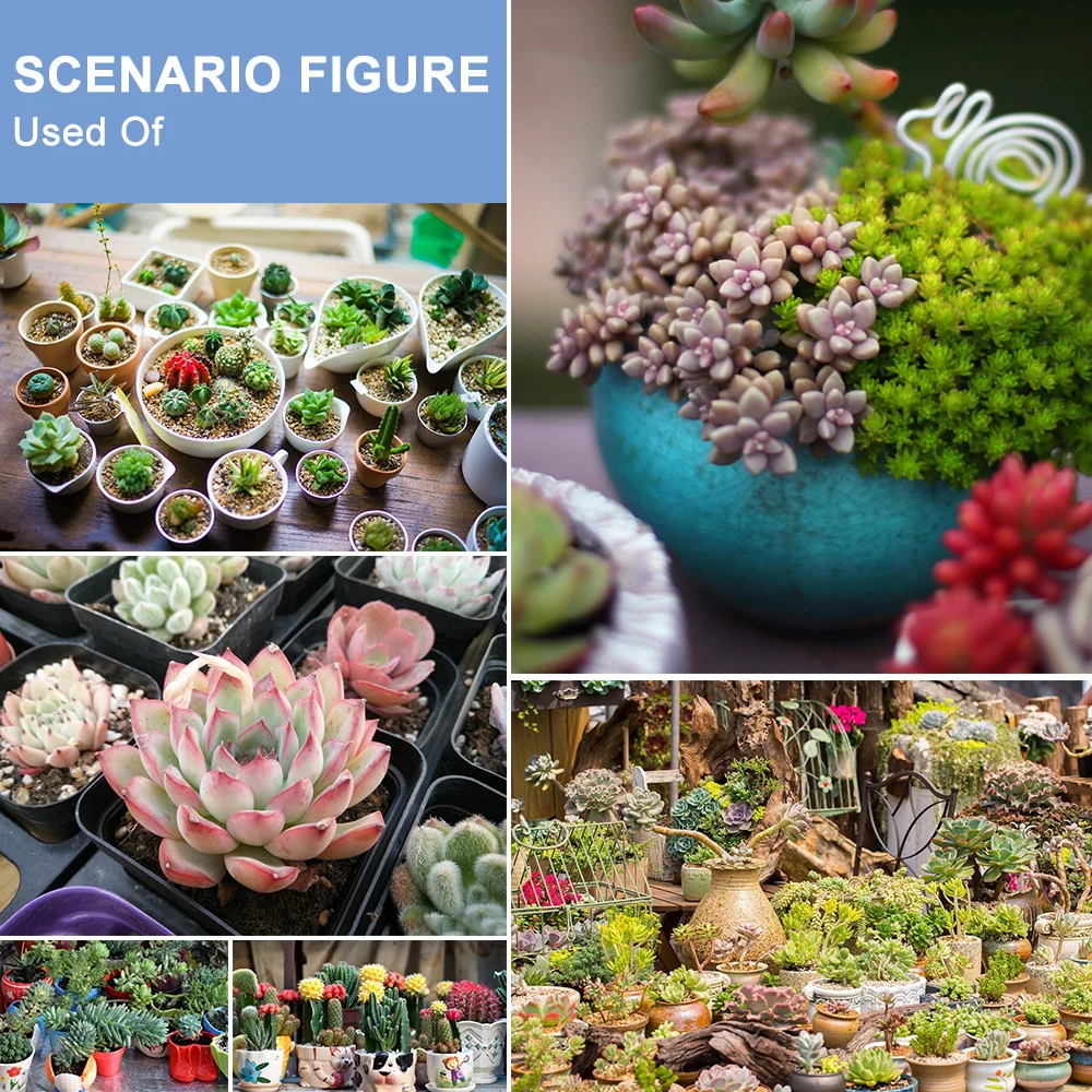 LED Grow Light Full Spectrum Indoor Plant Hydroponics Lamp USB 5V With 24 Hour Timing Dimming Waterproof For Cactus Cultivation