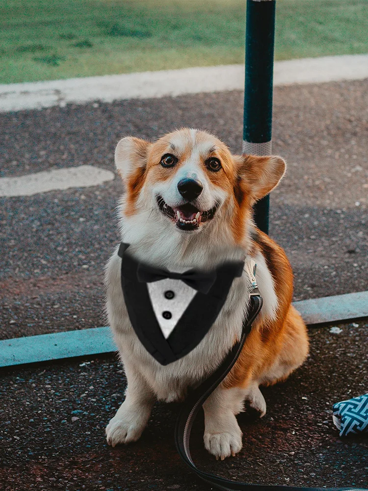 ONGODOG Black Bow Tie Triangular Bandage Gentleman Dog Bandana Handsome Bow Tie Pet for Small Medium Large Dogs Golden Corgi