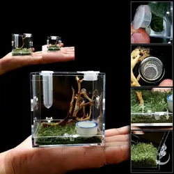 Jumping Spider Habitat Acrylic Breeding Box Cage for Spiders Small Insects