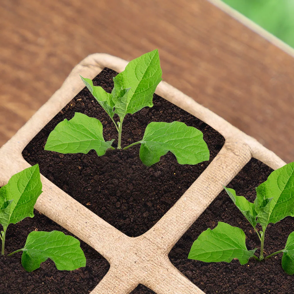 

1 set Plant Starter Nursery Cups Biodegradable Seedling Grow Pots Fast Water Absorption Root Protection for Garden Greenhouse