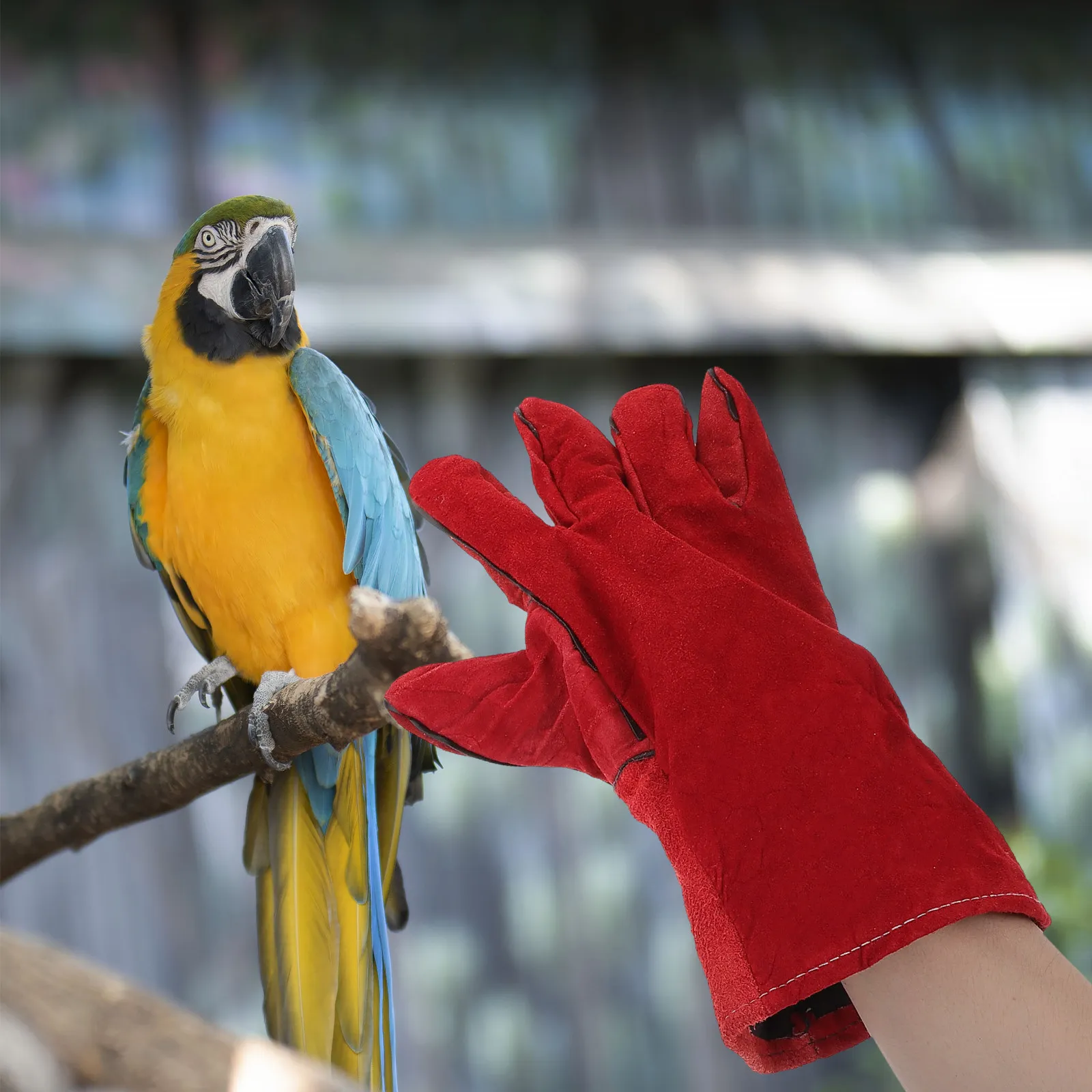 1Pair Skin-Friendly Parrot Anti-Bite Gloves Lightweight Reusable Washable Protective Gloves for Bird Training and Feeding