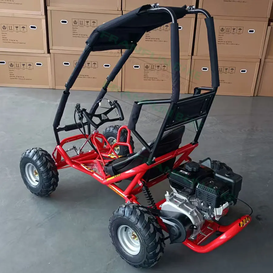 

High Performance Quality 6.5hp 4 Stroke Rear Suspension Mini Fuel Karting Mini Car with Roll Cage