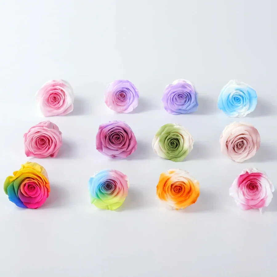 A+ Grade 4-5cm Preserved Gradient Multicolor Fresh Rose Eternal Flowers Colorful Rose Wedding Home Office Decor Florist Material