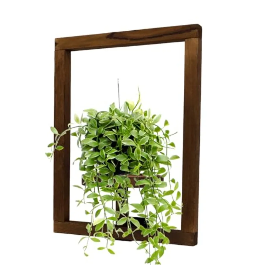 

Wall Planters for Indoor Plants Window Plant Shelves Plant Holder Wall Dr Hanging Planters Plant Hanger Outdoor WallMounted Pla