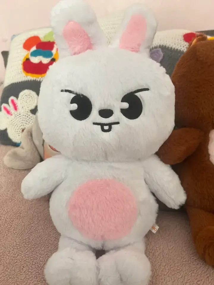 

23-50cm Kpop Skzoo Plush Toy Stray Kids Kawaii Cartoon Stuffed Animal Plushie Doll Large Size Kids Babies Sleeping Pillow Gift