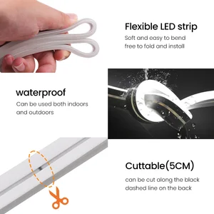 6 Hauptverkaufsarmband mit Peterneira - №4