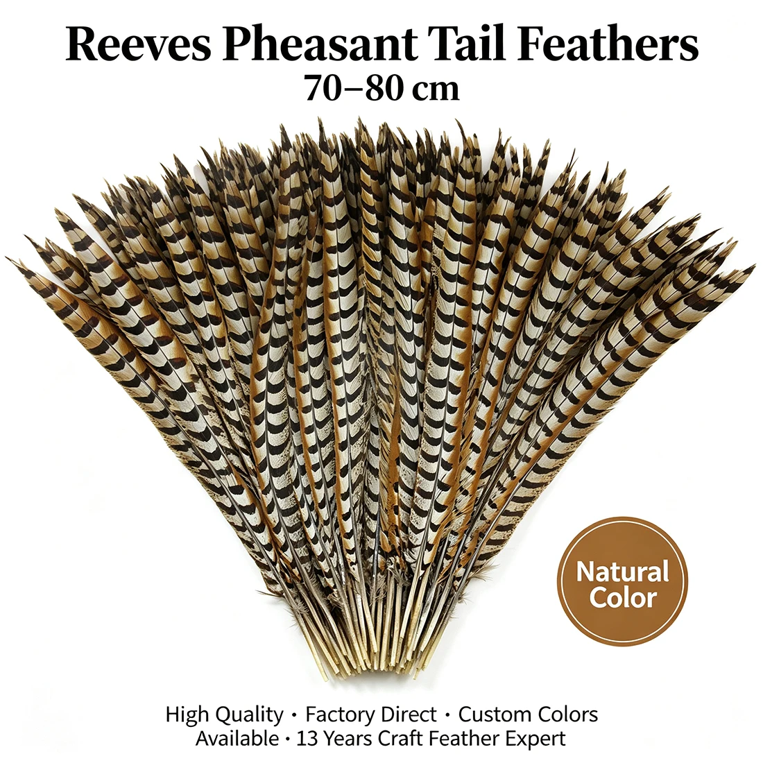 ZPDECO Reeves Pheasant Feathers Long 70-80cm (28-32 Inch) Home Decor Feathers for Creative Home Decorations