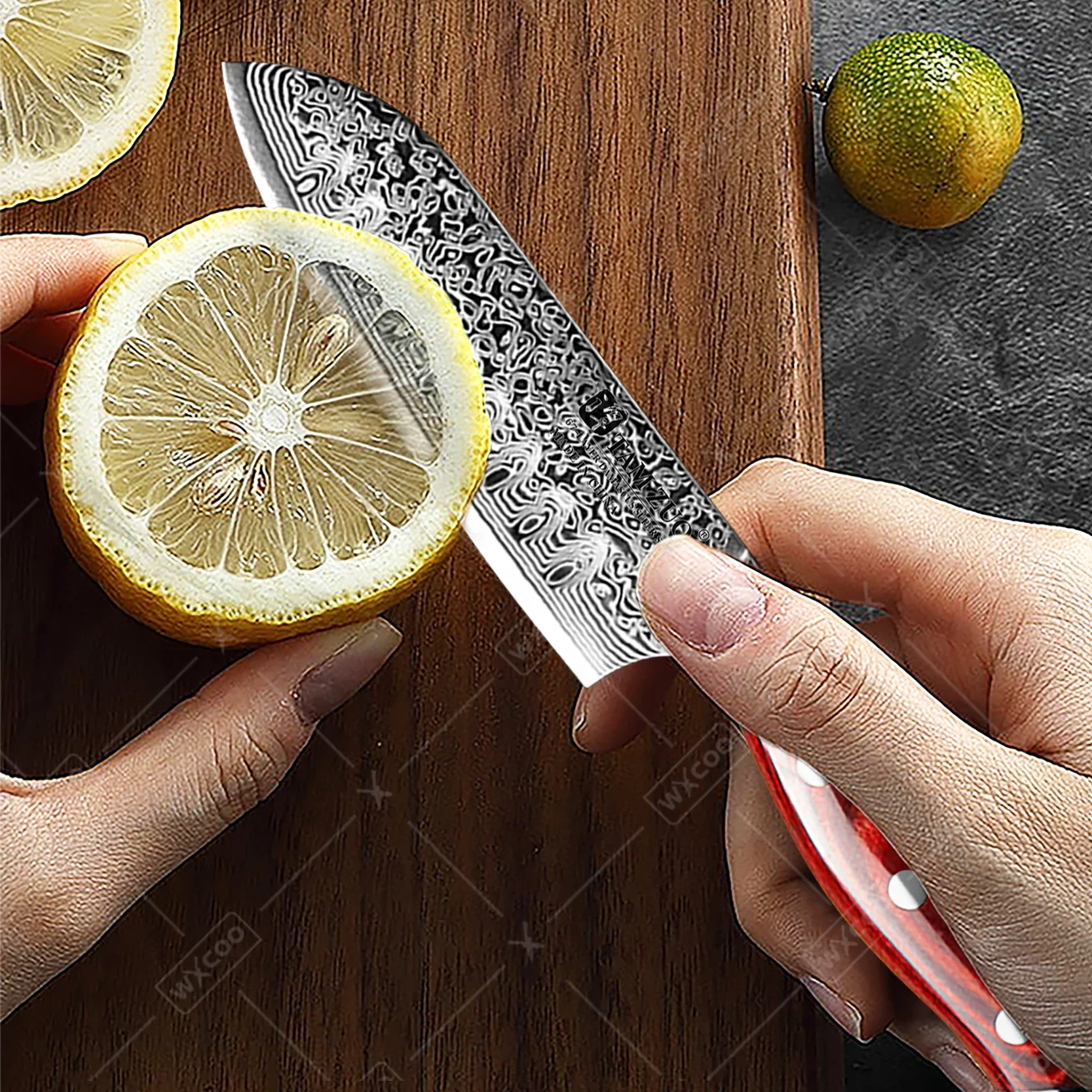 TAMZUO Kitchen Santoku Knife Japanese Hand Forged Damascus Steel Utility Knife 5