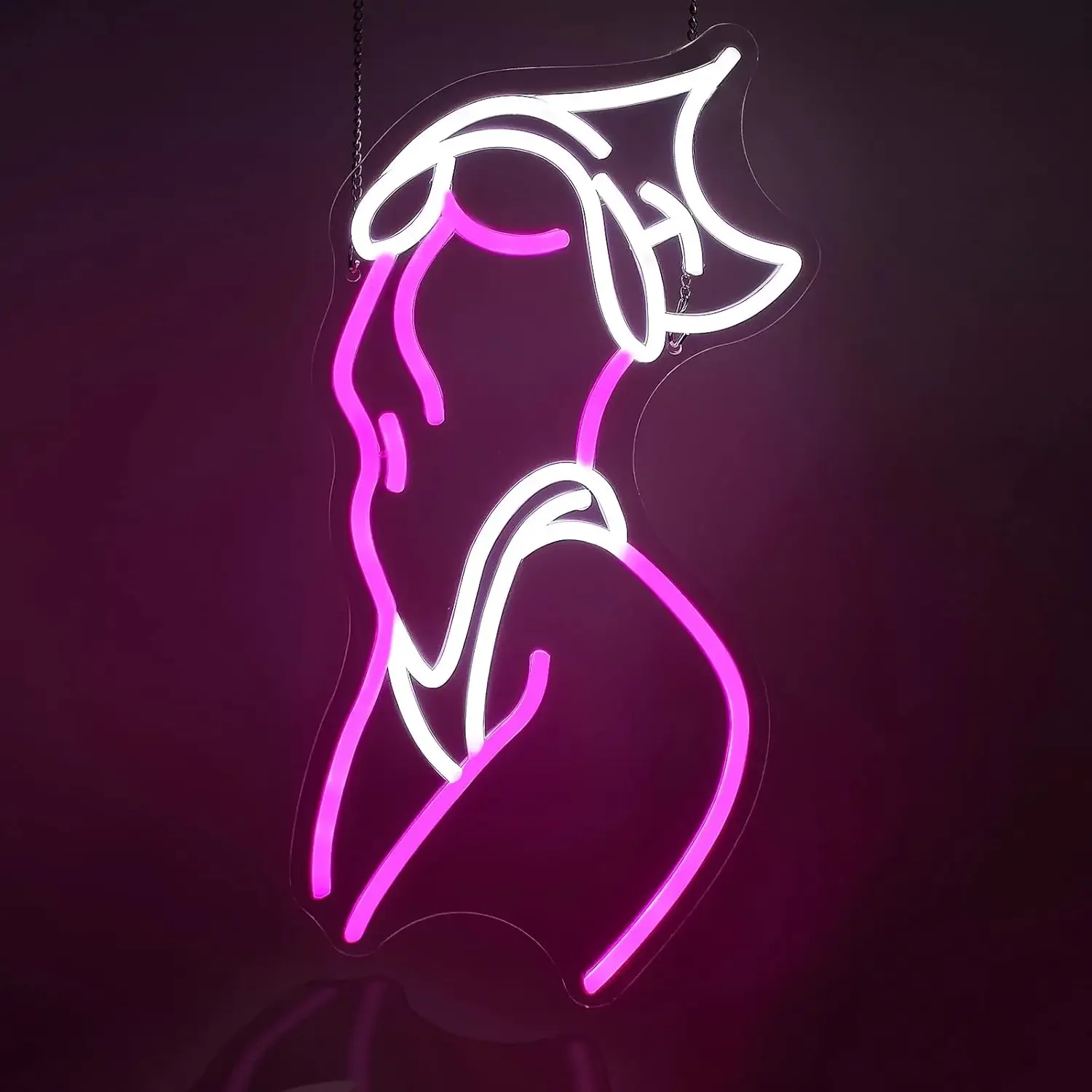 

Lady Neon Sign for Wall Decor Pink White LED Light for Preppy Room Decor Light Up Sign for Birthday Party Decor USB Powered