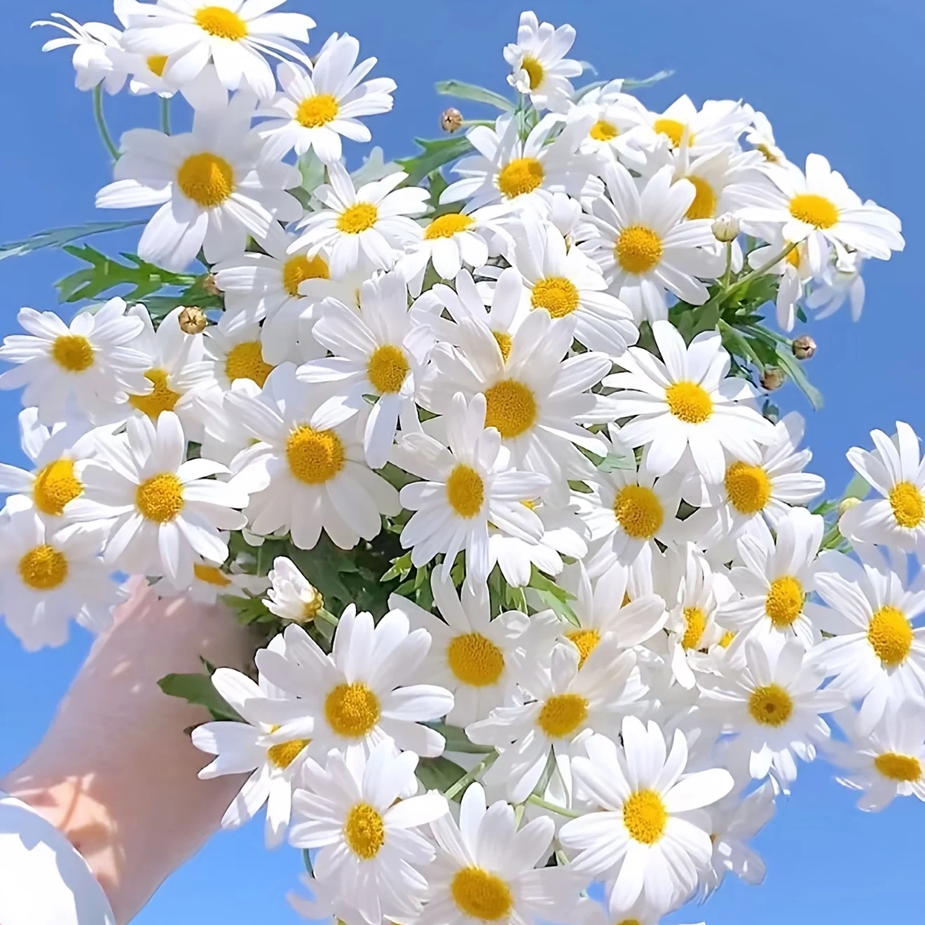 4 Stück klassische weiße künstliche Sonnenblumen für Haus, Garten, Wohnzimmer, Vase, Veranda, Balkon, realistische Kunststoff-Wildblumen, 2025 NEU
