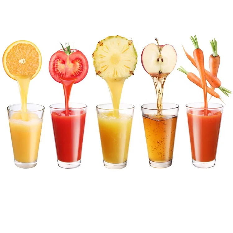 Quality Stainless Steel Heavy Duty Grape Wine Juice Extracting Machine Juice Extractor