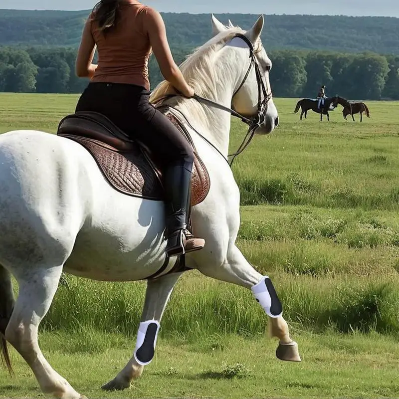 1 paire de bottes de jambe de mouche de cheval, Leggings respirants pour soins de cheval, prévention des mouches, botte pour l'entraînement au saut