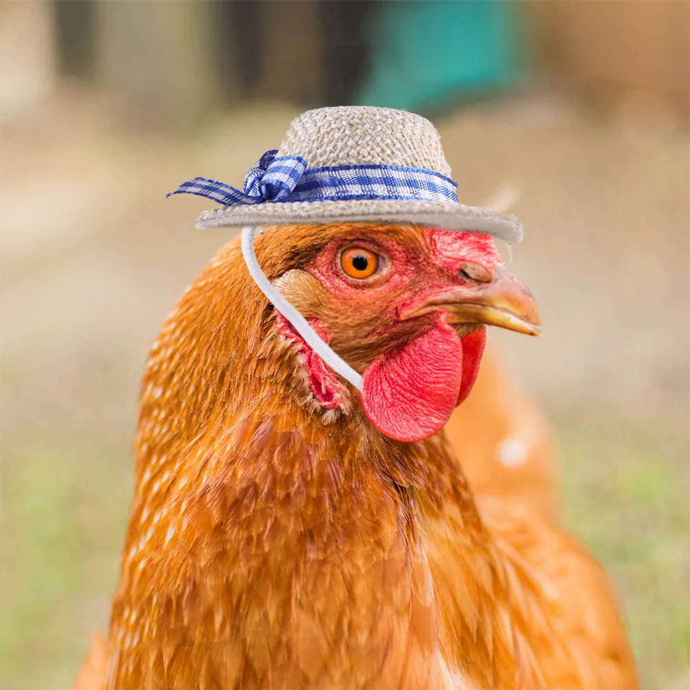 PARKER Miniature pet hats chickens ducks geese birds lizard, golden bears hamsters funny performance props multi-color optional