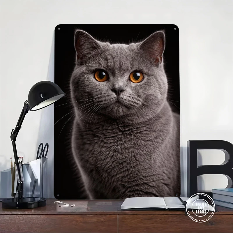 British Shorthair Cat Portrait Metal Poster Customized Wall Art Retro Vintage Tinplate Signs for Garage Decoration Room Man Cave