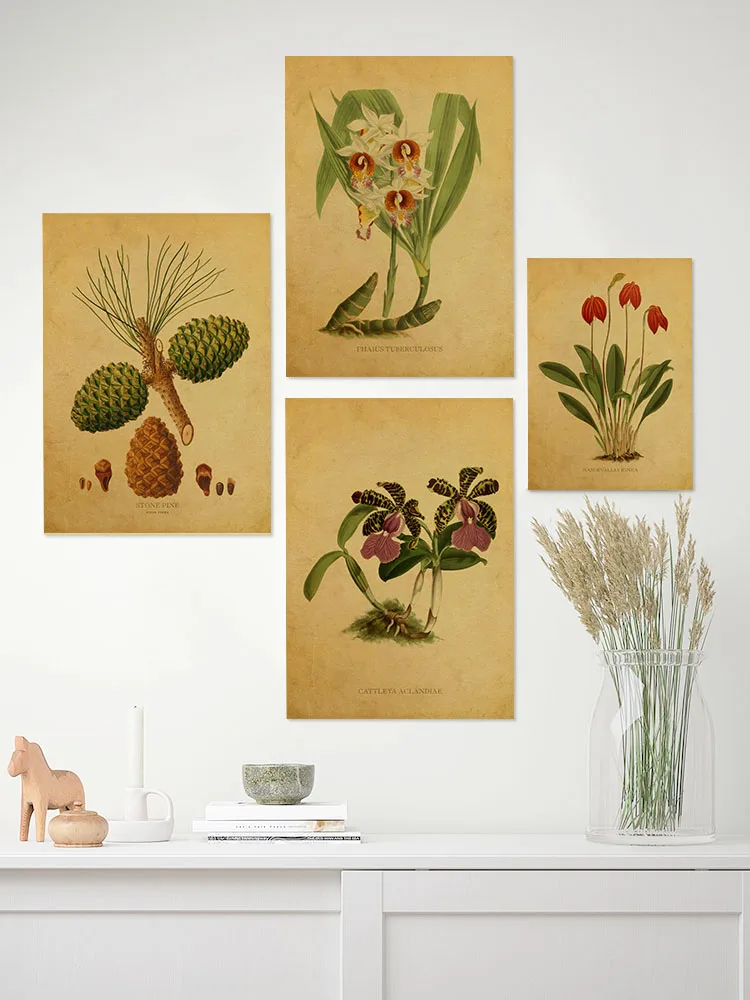 Botanical Illustration Poster Plant Leaf Flower Kraft Paper Posters Vintage Home Room Bar Cafe Decor Aesthetic Art Wall Painting