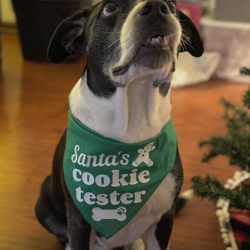 Santa's Cookie Tester Pet Dog Green Bandana Merry Christmas Decorate Gift Holiday Party Photo Props Festive Pet Scarf Accessory