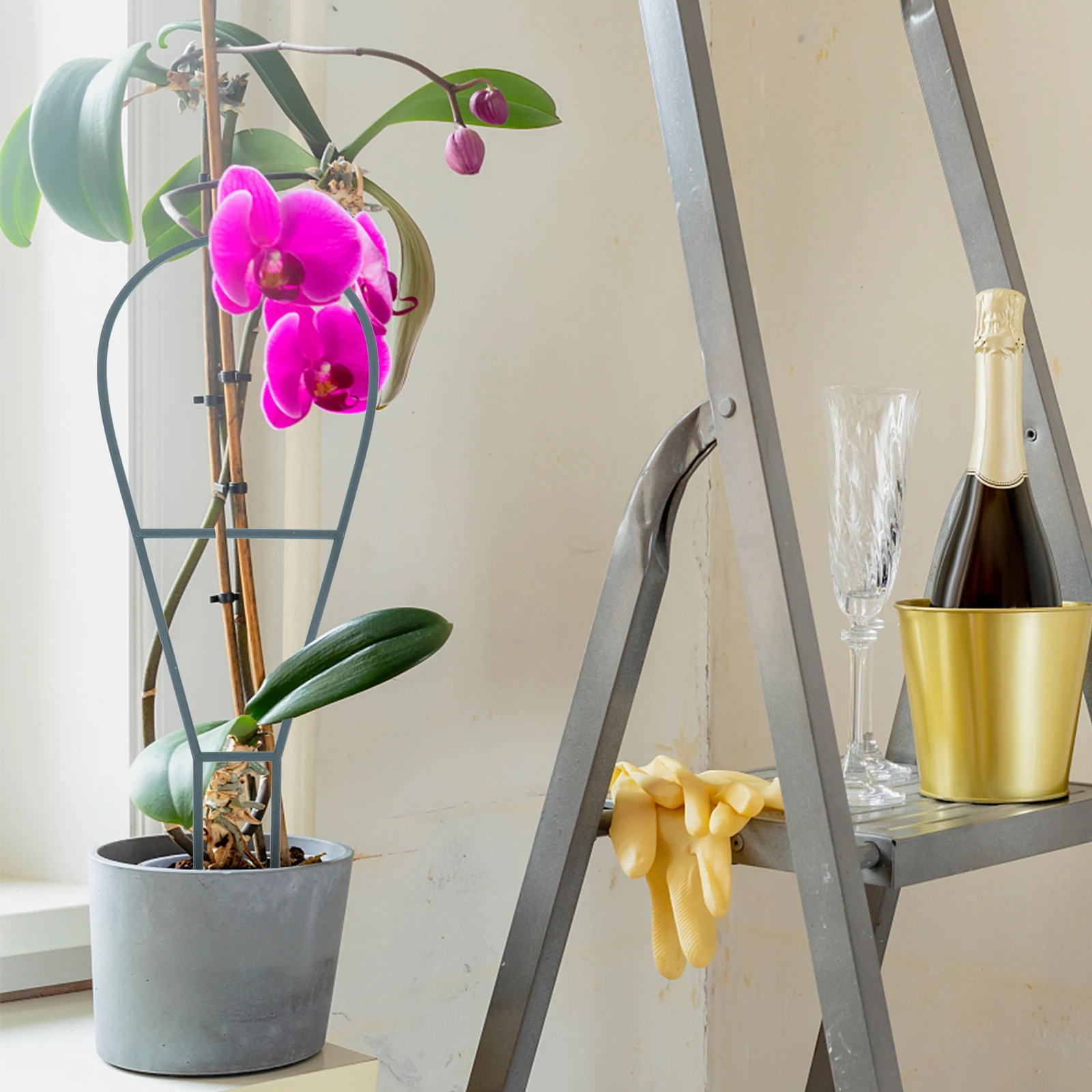 

6 Pcs Plant Trellis Sturdy Climbing Vine Stand Potted Plants Support Frame Garden Supplies Net Holder Outdoor Indoor