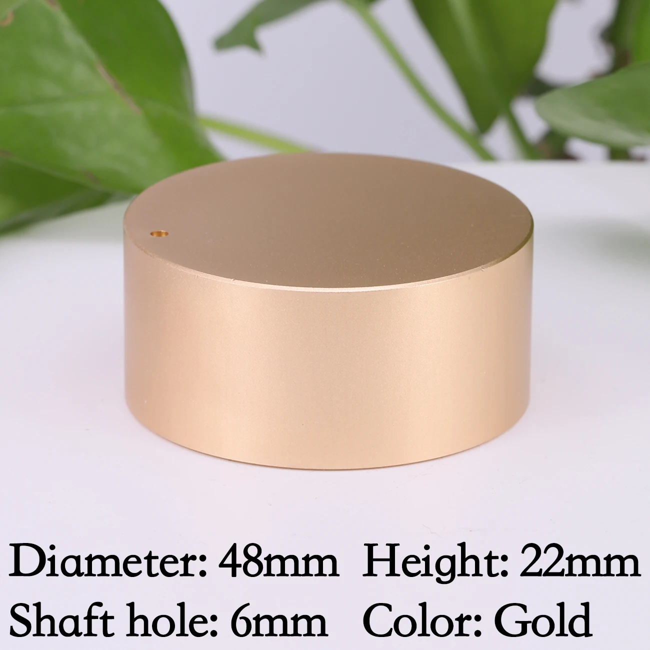 48x22mm Gold 1PC