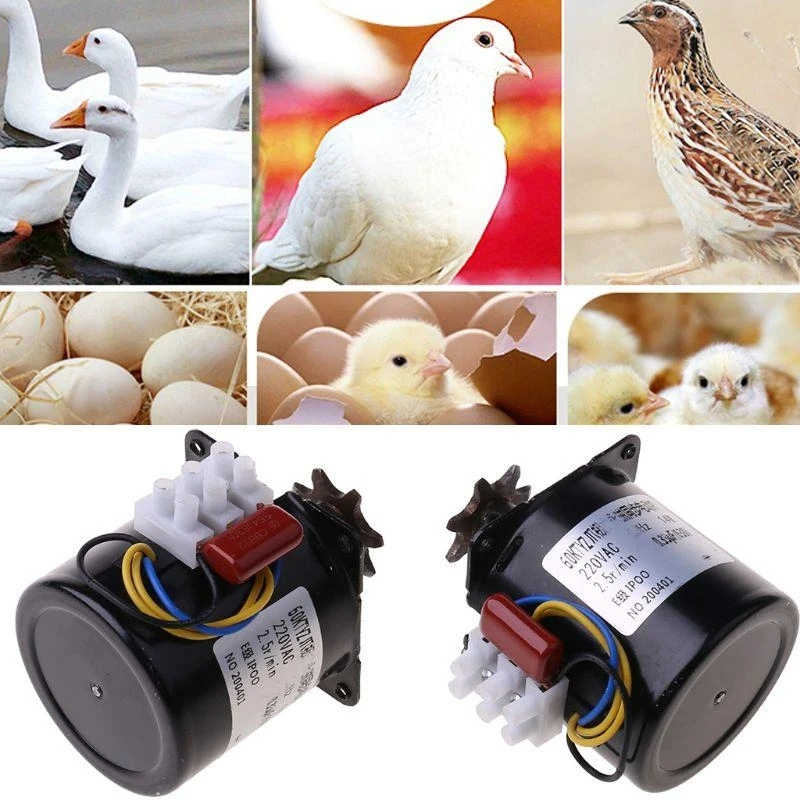  Egg Turner Motor Synchronous Motor Turntable Motor Reversible 220V AC 2.5r/min
