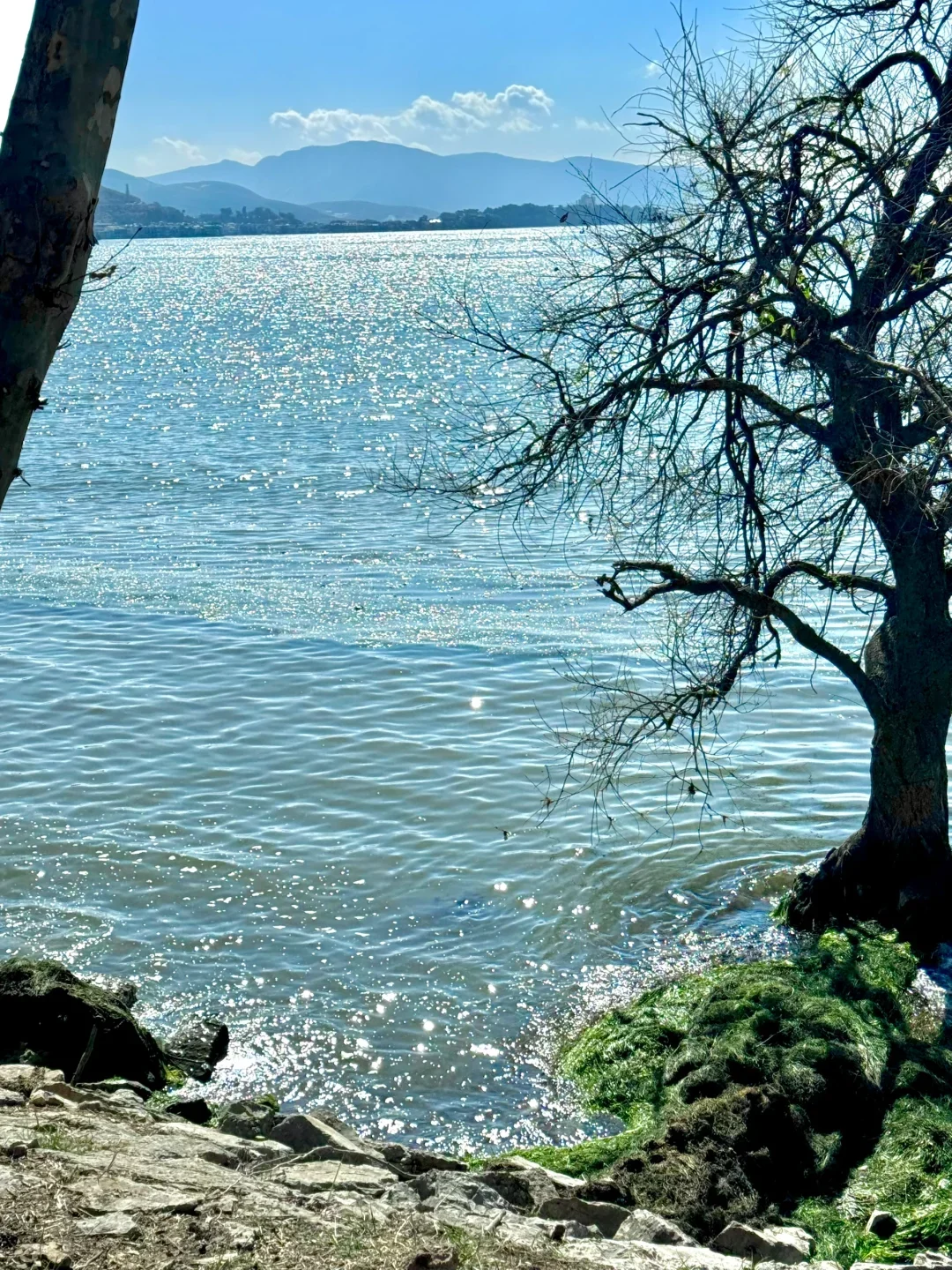 

PX6 4 ГБ Автомобильная мультимедийная система Android 11 Автомобильная GPS-навигация для TOYOTA Fortuner 2016-2019, головное устройство, авторадио, автомобильный видеорегистратор с GPS