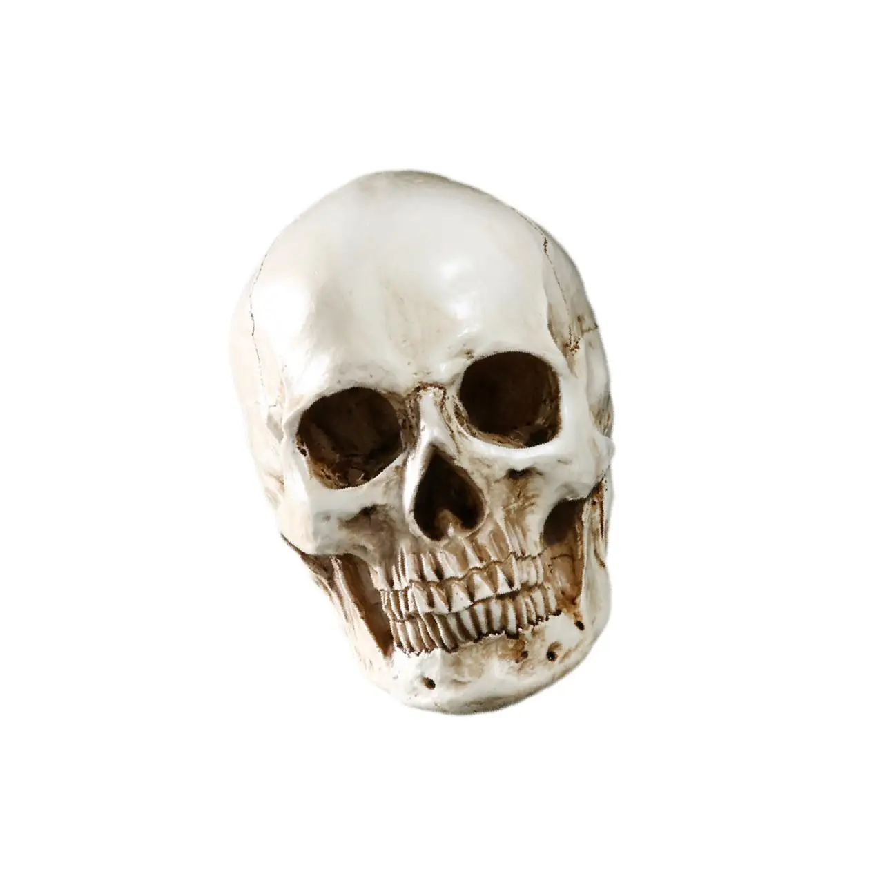 Resin Retro Human Skull Skeleton Replica Model Medica Party Bar Prop White as described