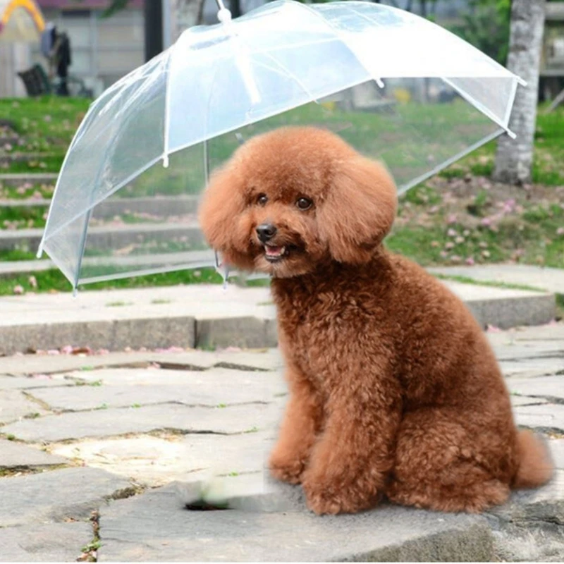 Dog Umbrella for Small to Dog Pet Umbrella with Leash for Rain or Day Outdoor Walking Body Protections X3UC