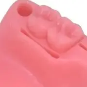 

2Pcs Dental Oral Gum Suture Training Module Medical Skin Suture Silicone Materials Periodontitis Suture Model Lab Demonstrating