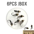 6PCS