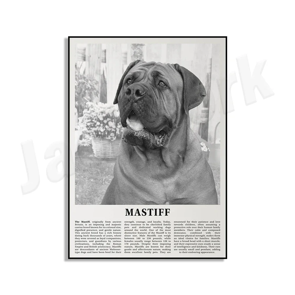 Rhodesian Ridgeback, Pug, Irish Wolfhound, Afghan Hound, Yorkshire Terrier, Whippet, Husky Siberiano, animal de color blanco y negro