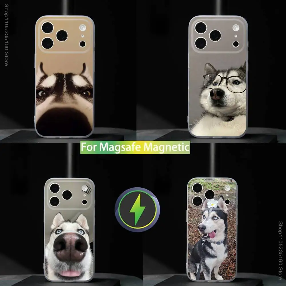 

S-SiberianS Funny H-Husky For iPhone 11,12,13,14,15,16,17,Pro,Max,Plus,Mini,SE4,E Phone Case With Magsafe Wireless