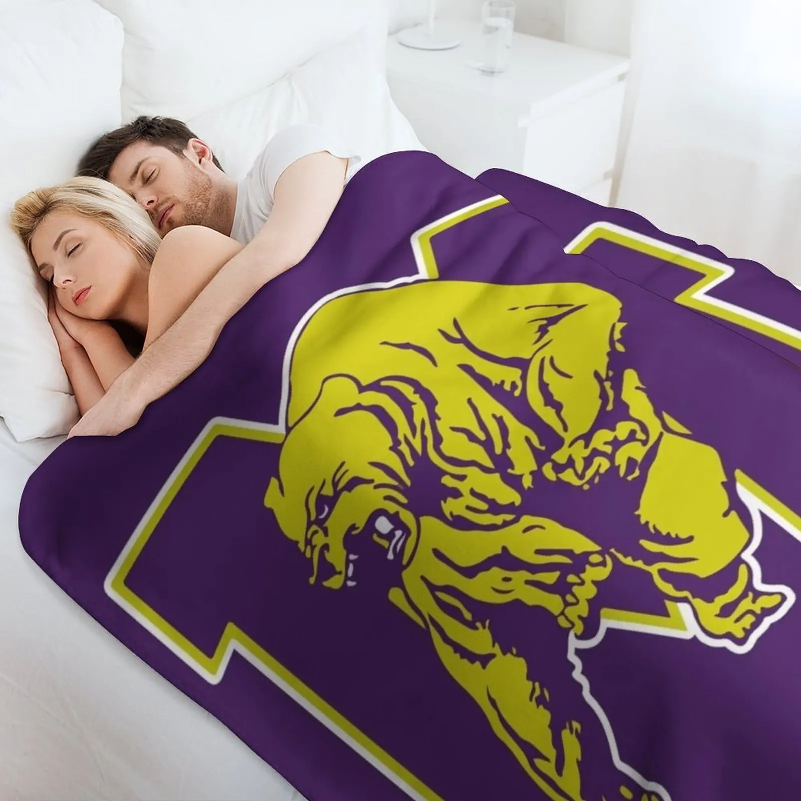 Miles College Throw Blanket For Baby Cute Bed Fashionable blankets ands Soft Plaid Softest Blankets 4