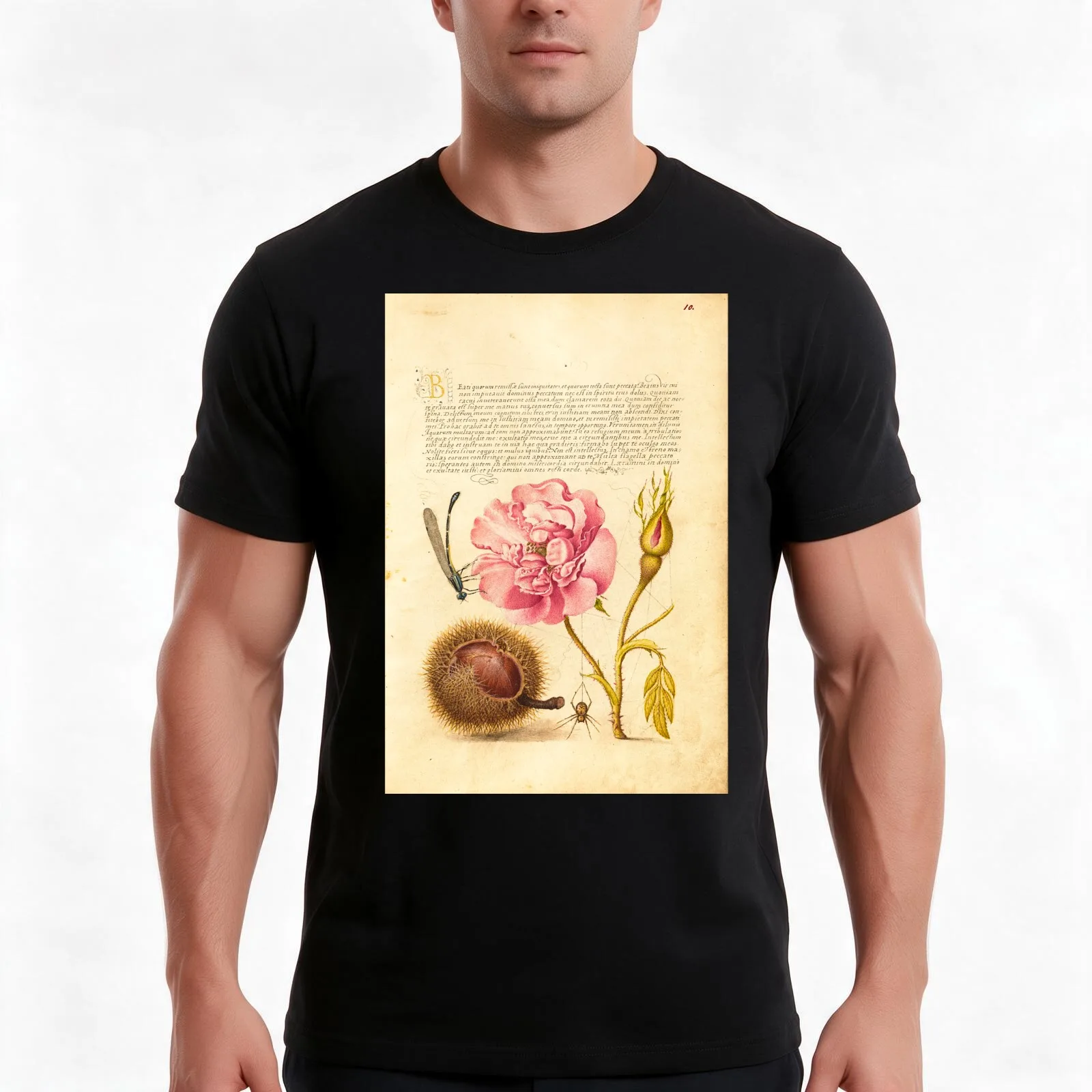 Spanish Chestnut English Iris and European Filbert - Medieval Illuminated Manuscript T-Shirt Summer Casual Cotton Tee
