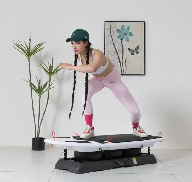 

2025 Balance Ball and Anti slip Vertical Balance Surfboard