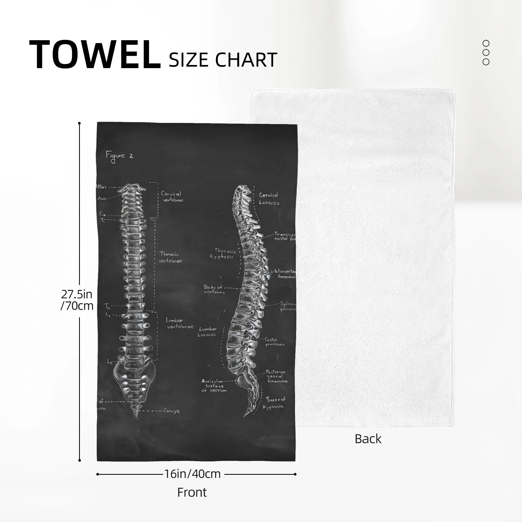 Custom Spine anatomy on chalkboard black and whi Soft Face Towel Quick Dry Pool Bath Cotton Towels Breathable