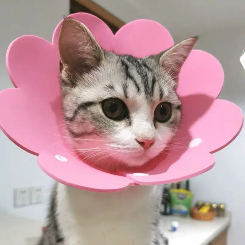 

Flower Shaped Cat Recovery Collar Elizabethan Collar Wound Healing Protective Cone for Kitten Puppy Kitten Collar Puppy Collar