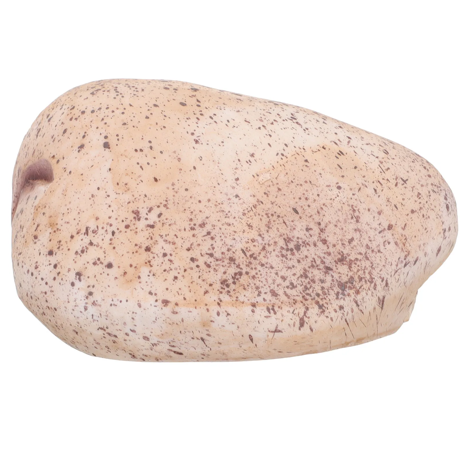 وهمية حجر حديقة ديكور روك إخفاء حامل الغيار في الهواء الطلق لمفتاح إخفاء الخارجي حامل مفتاح مخفي للمخفي الخارجي #6