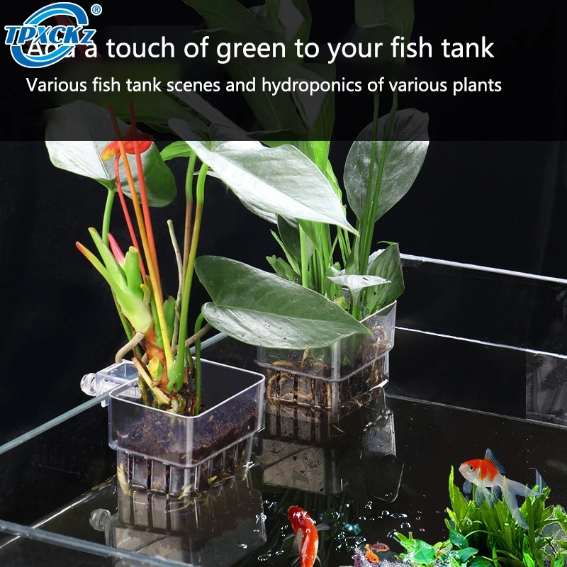 2Pcs Aquatic Plant Cup Hollowed Out Wall-mounted Reduce Nitrate Emersed Plant Hydroponic Planting Cup Fish Tank Accessories