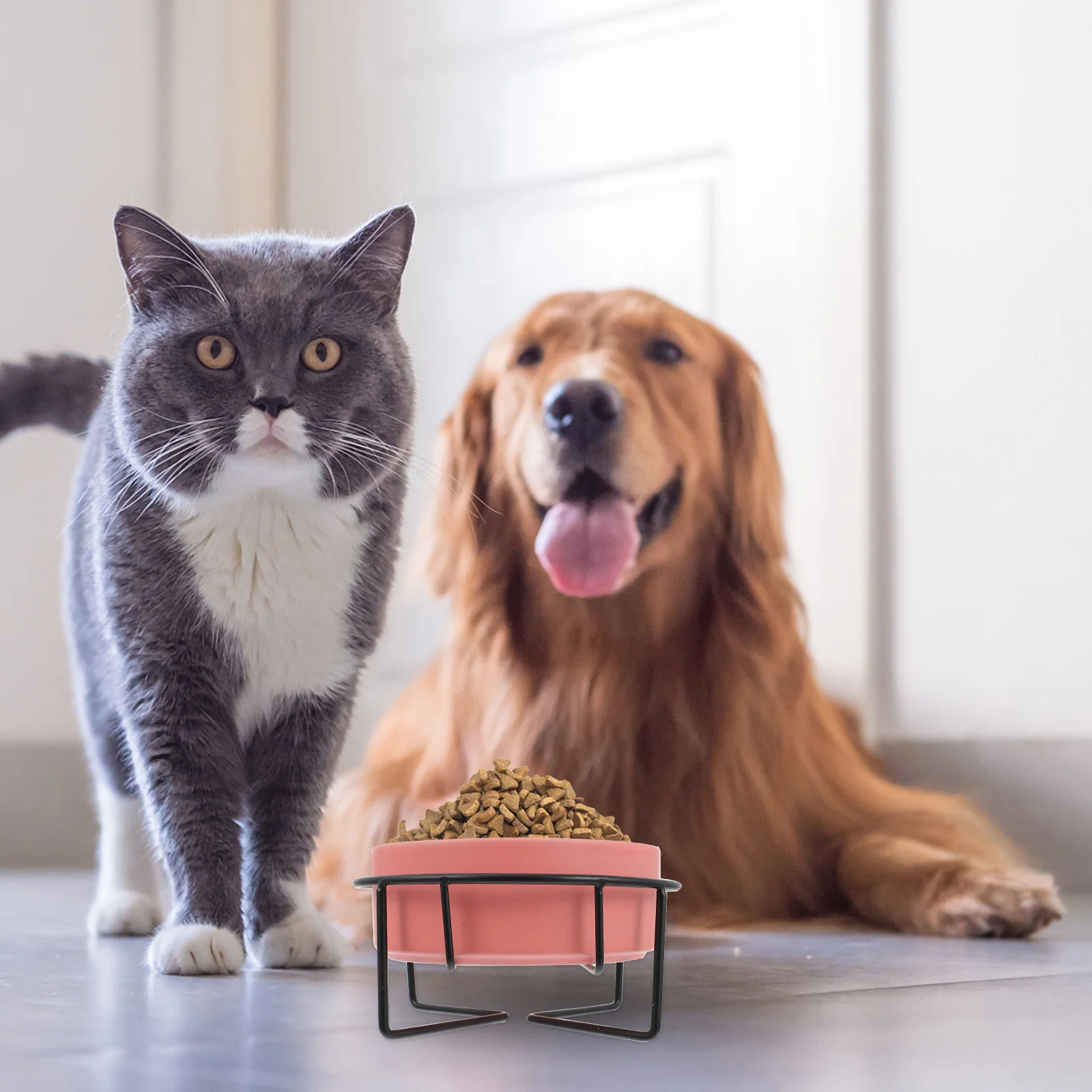 

1 set 1 Set Of Cat Bowl Dog Bowl Ceramic Pet Feeder Iron Stand Anti-Spill Food Water Container For Puppy Kitten Pet Supplies