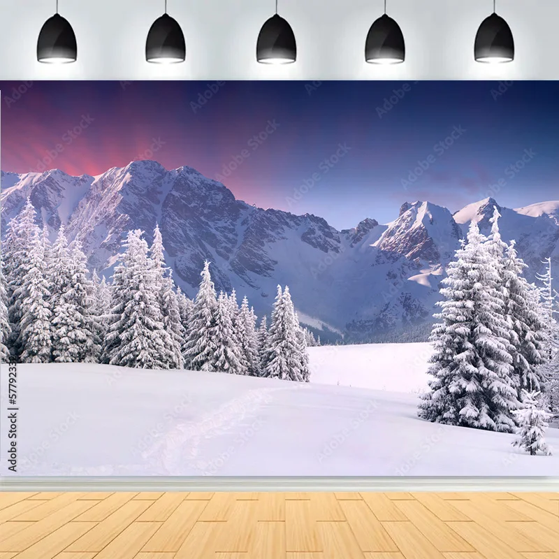 

Winter landscape of Vitosha Mountain Photography Backdrops Mountains Nature Snowy Countryside Pine Trees Background XD02