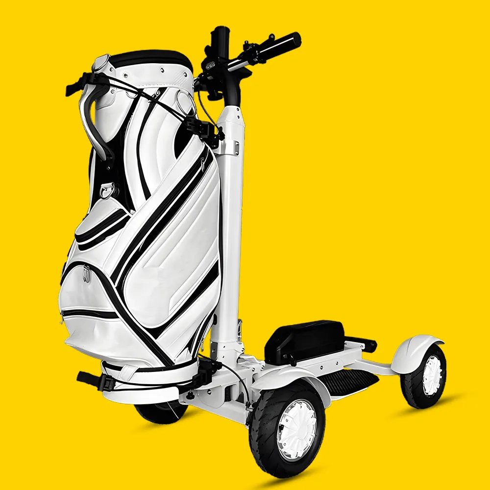 Eswing 4-Wheel Fold… - image