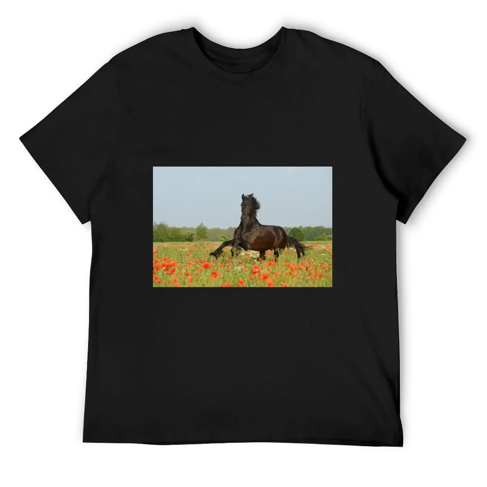 

Friese im Mohnfeld T-Shirt croswit shirt man Blouse luxury clothing labubu T-shirts oversize black t-shirts for men