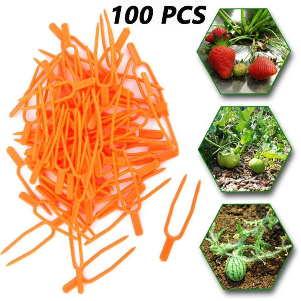 100pcs Reusable 50/65CM Plant Stem Fixator Retainers Watermelon Strawberry Planting Forks Clamp Clips Garden Vine Fixing Fixture