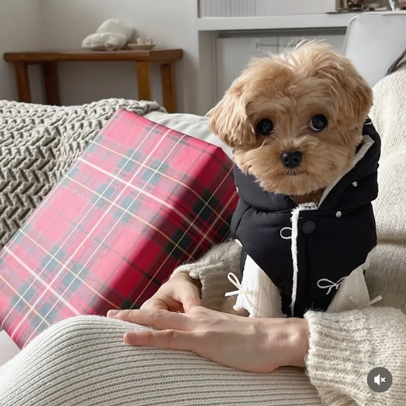 Haustierjacken Winter Schleifenmuster Hundemantel mit D-Ring Dicke Warme Welpenkleidung Chihuahua-Weste Dackel-Kleidung Hundehoodie-Jacke – Detail 12