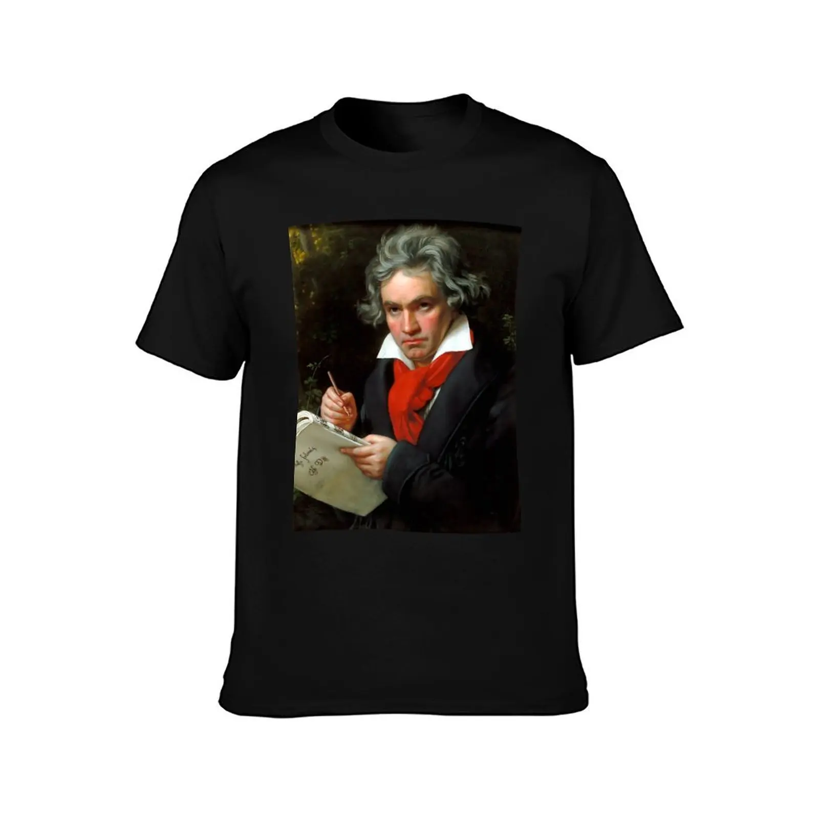 Ludwig van Beethoven (1770-1827) by Joseph Karl Stieler, 1820 T-Shirt Basic Crew Neck Short Sleeve Top T-Shirt