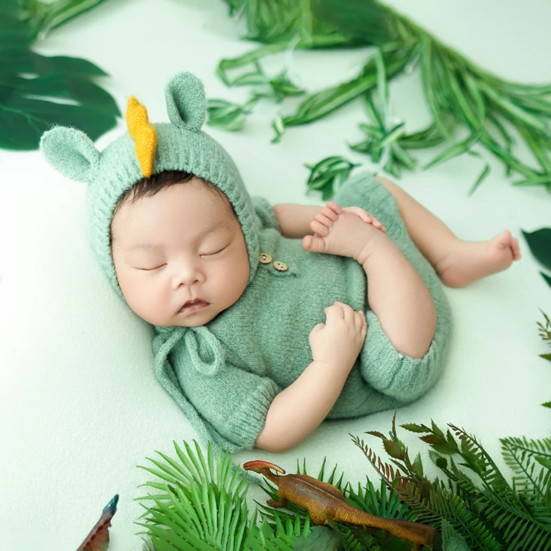 Fotografia Vestuário para recém-nascido, boneca dinossauro, planta verde, posando adereços, chapéu de malha, macacão, estúdio de filmagem, cena traje para crianças